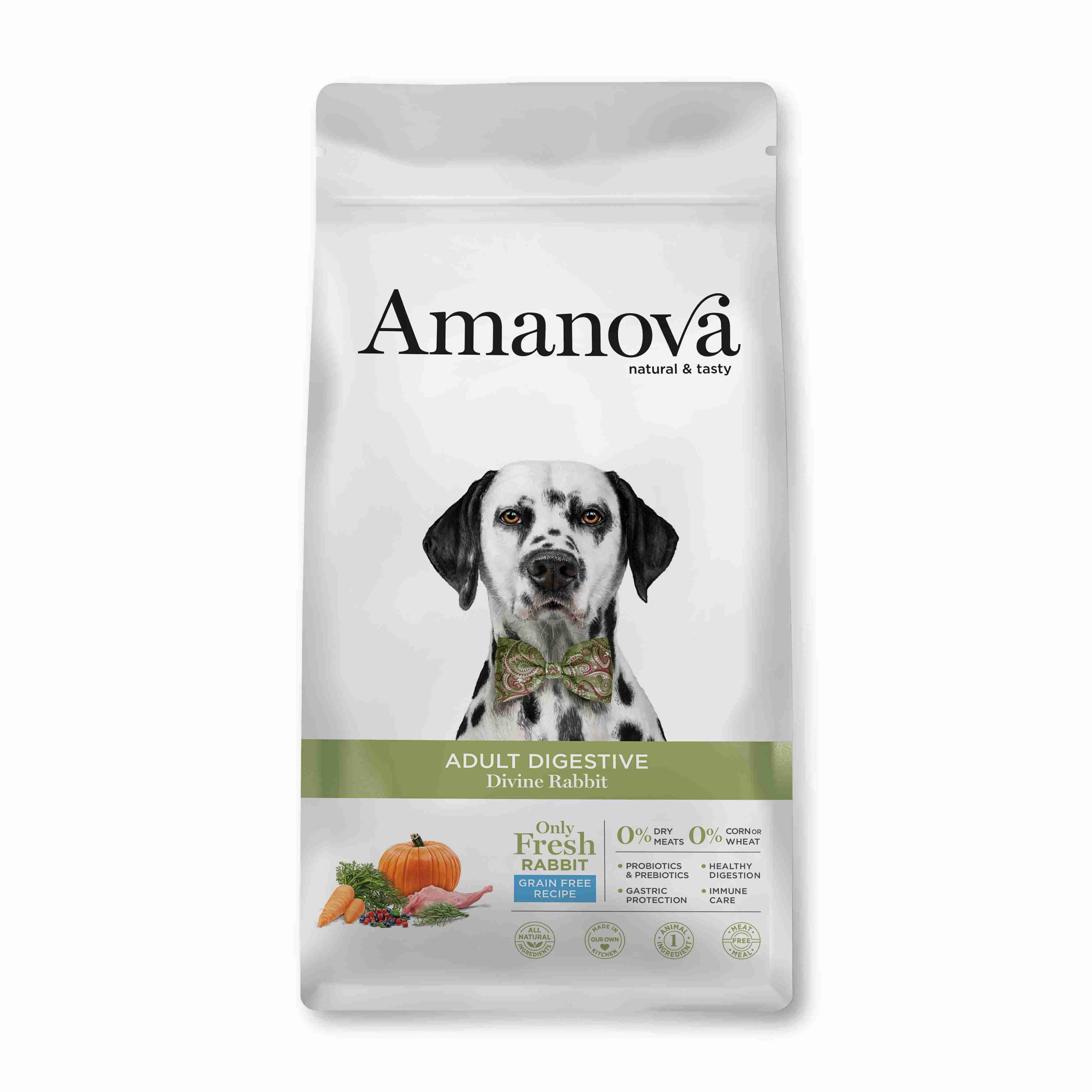 Best Pet Groomer